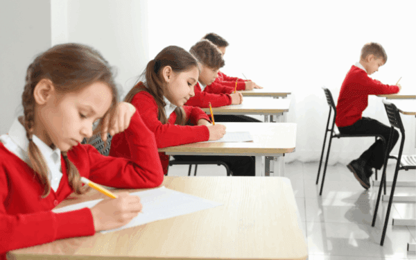 Cambridge iGCSE English Language live webinar class Term 1