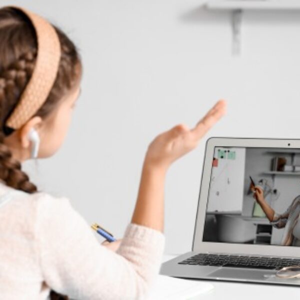 LKS3 recorded webinars: Of Earth and Air